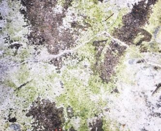 concrete closeup