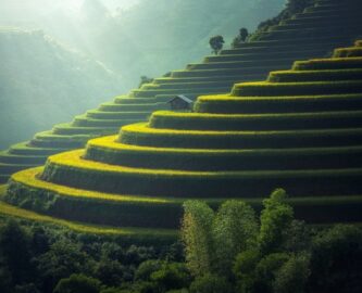 agriculture